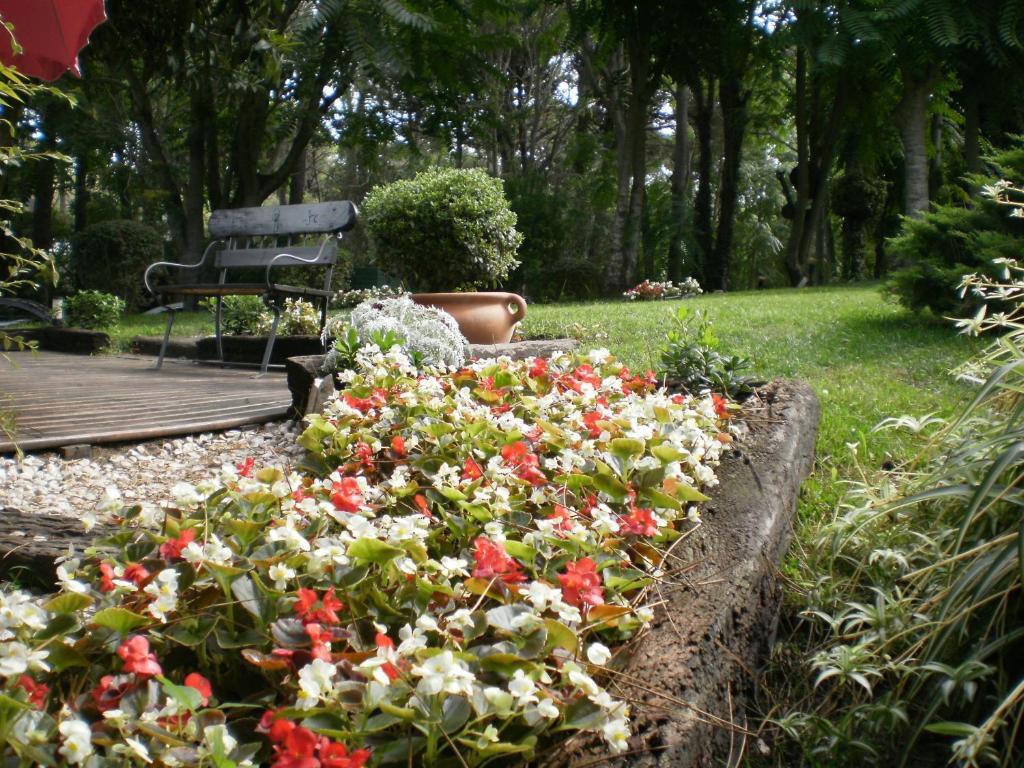 Posada Del Bosque By Hs Cariló Buitenkant foto
